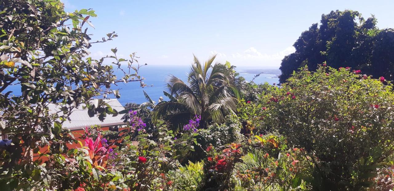 Penville "Sunrise Inn" Nature Island Dominica מראה חיצוני תמונה