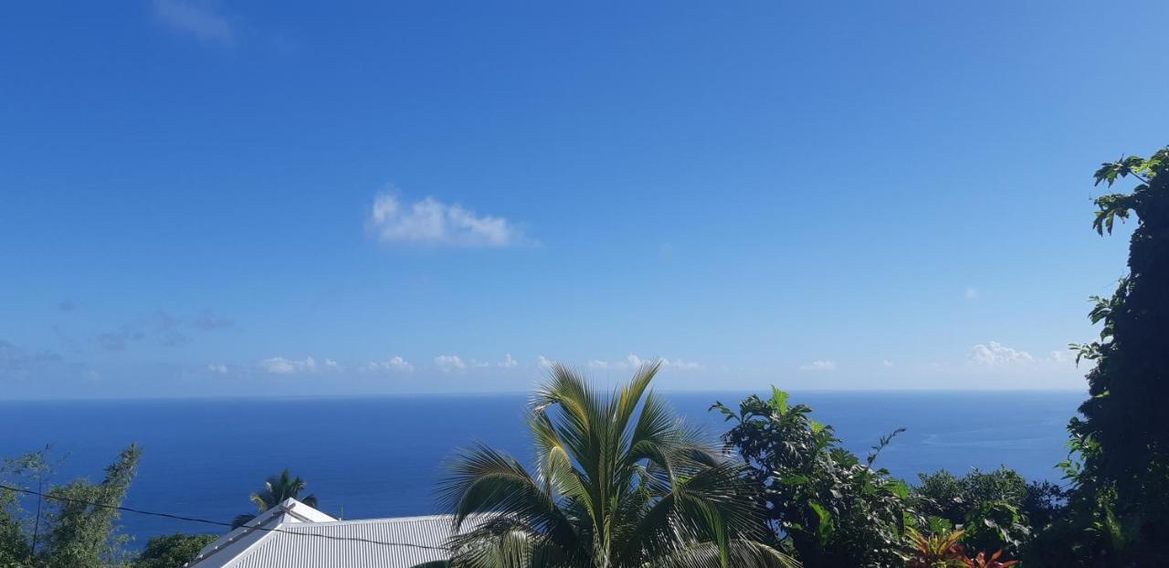 Penville "Sunrise Inn" Nature Island Dominica מראה חיצוני תמונה