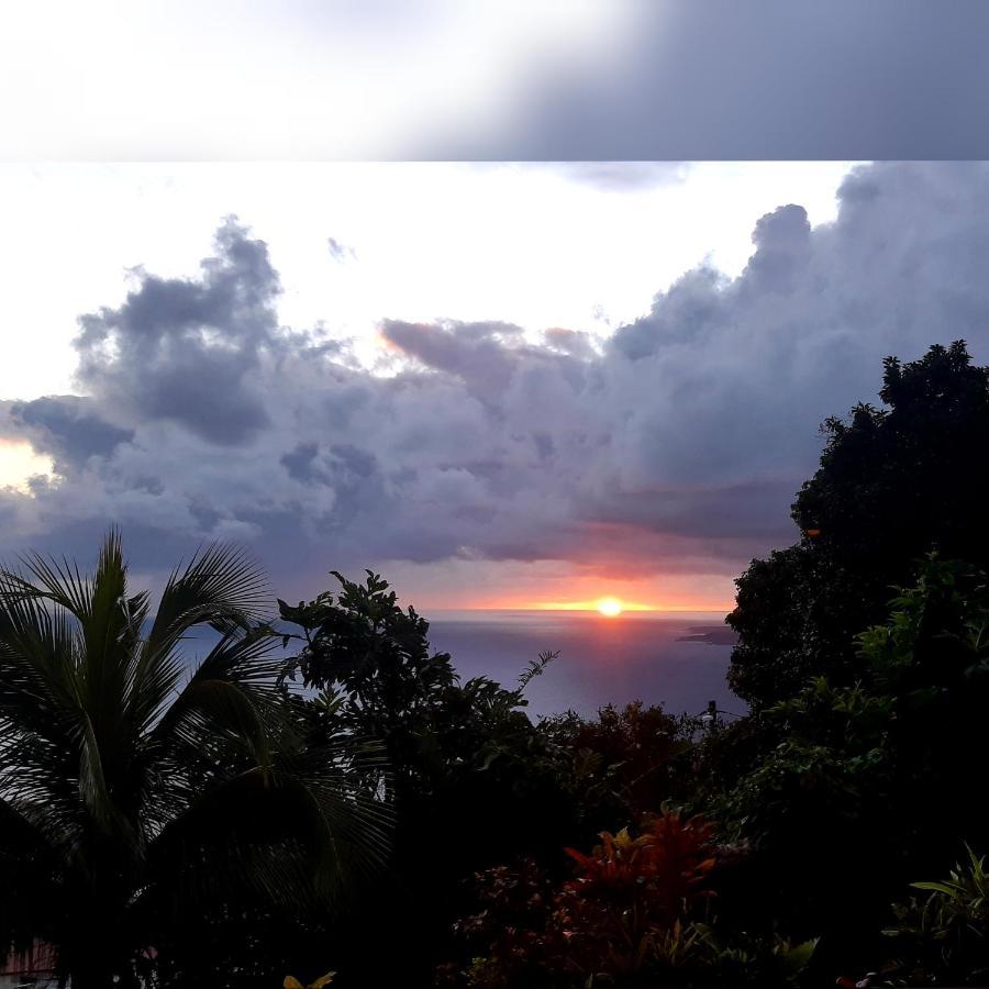 Penville "Sunrise Inn" Nature Island Dominica מראה חיצוני תמונה