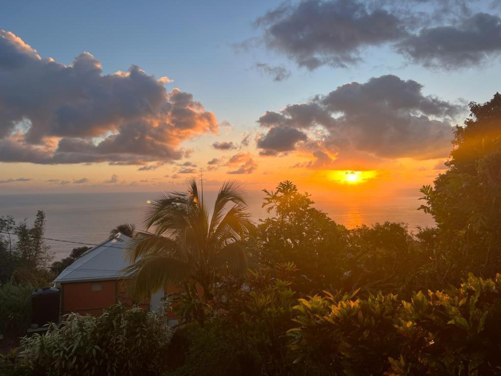 Penville "Sunrise Inn" Nature Island Dominica מראה חיצוני תמונה